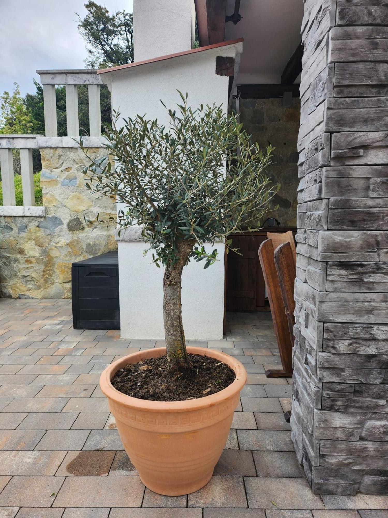 Vila Marija Kampor Exterior foto